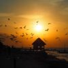 Gruppenreisen für Alleinreisende I Mexiko Sonnenuntergang auf der Isla Holbox