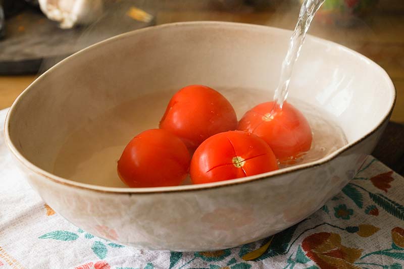 Tomaten enthäuten - Mole Poblano