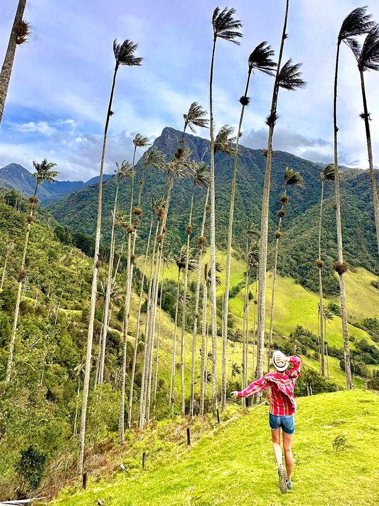 Lateinamerika Reisen - Cocora Tal