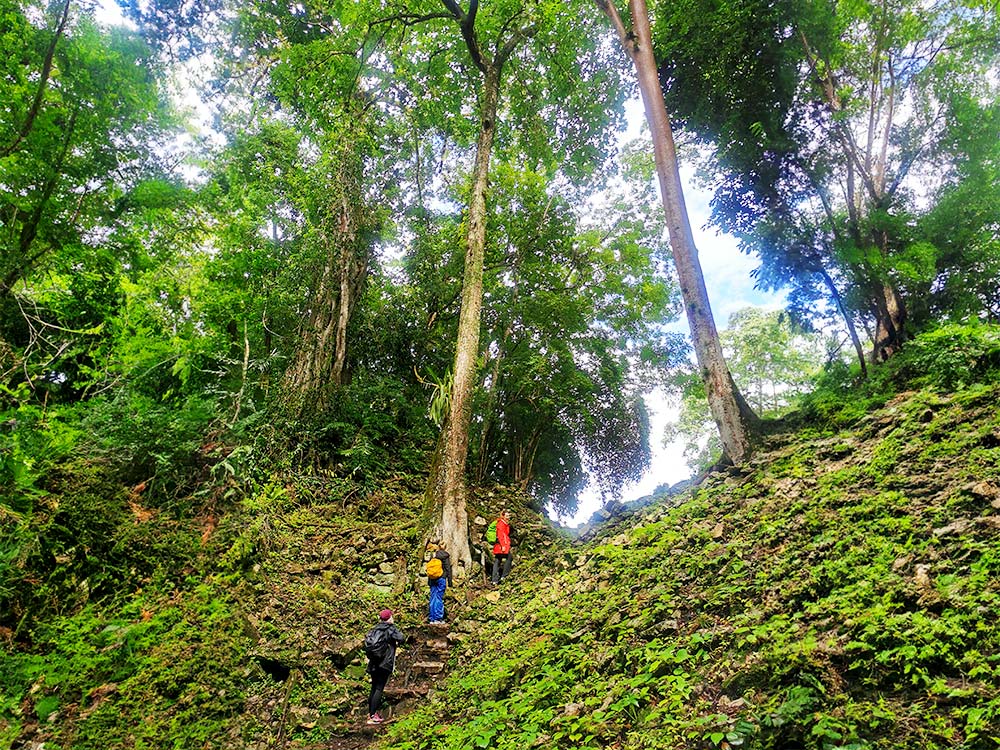 Selva Lacandona, Mexiko